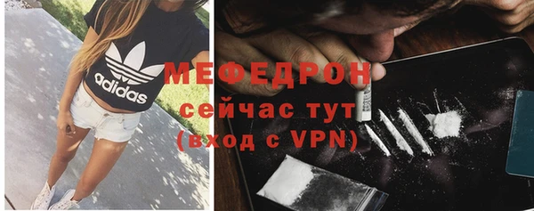 шишки Инта