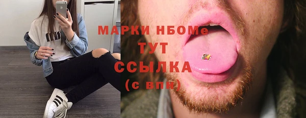 шишки Инта