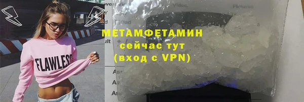 шишки Инта