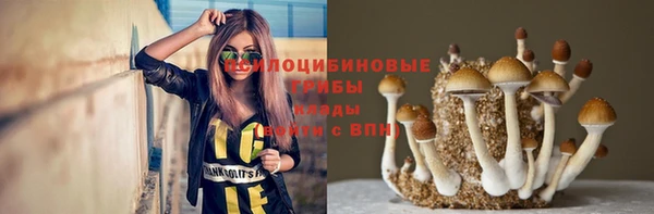 шишки Инта