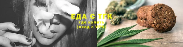 шишки Инта