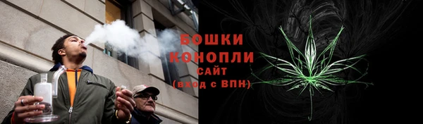 молекула духа Каменка