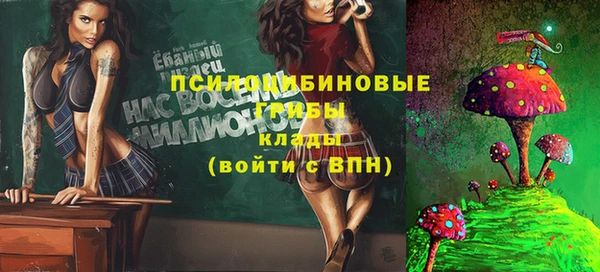 стафф Инсар