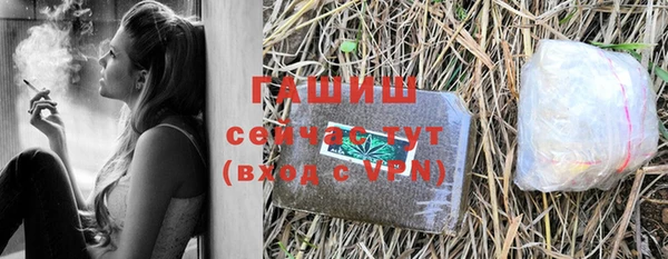 шишки Инта