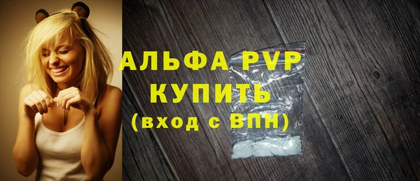 шишки Инта