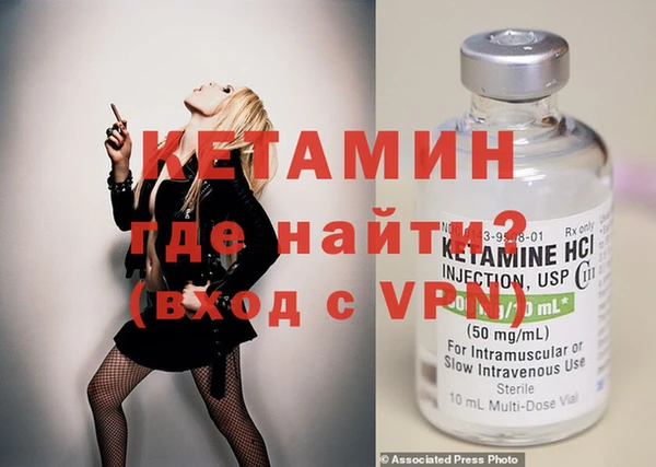 шишки Инта