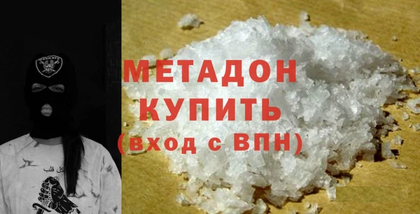 шишки Инта