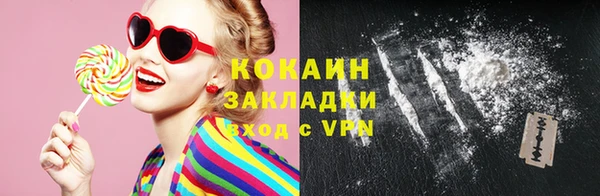 шишки Инта
