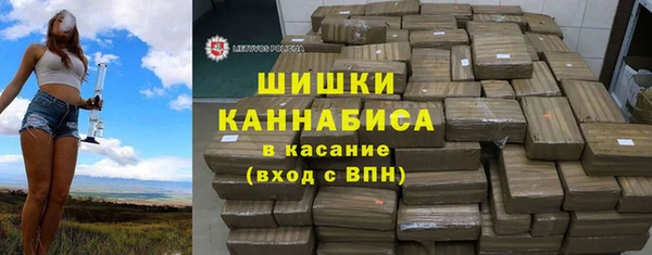 шишки Инта