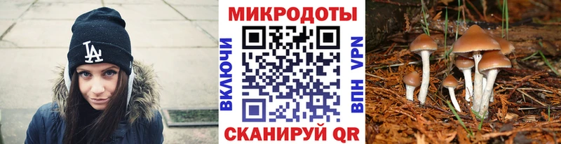 Галлюциногенные грибы мицелий  Суровикино 